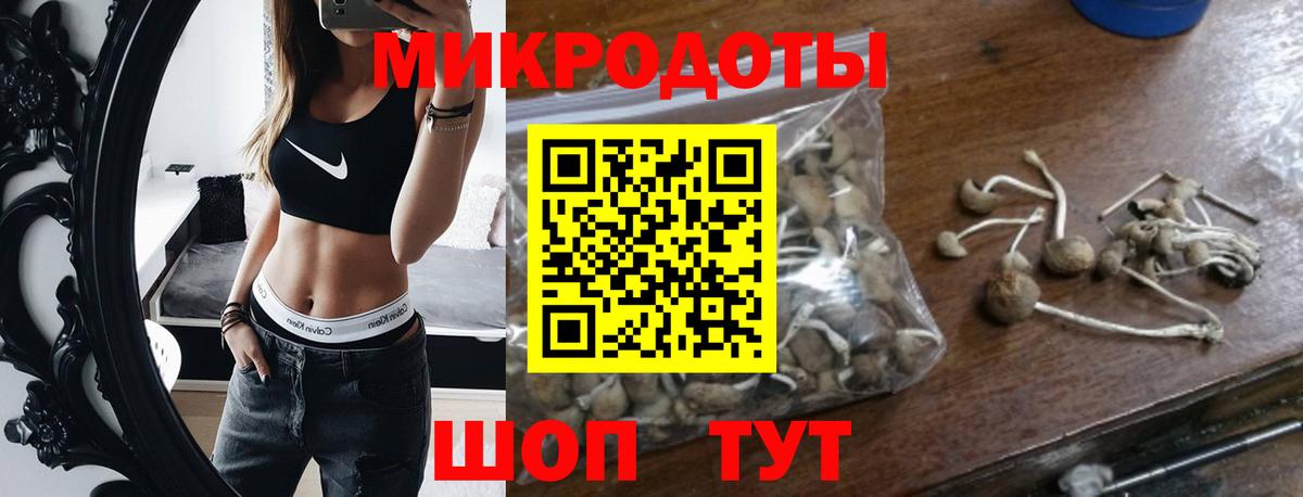 Волжск  Псилоцибиновые грибы прущие грибы  Вход с VPN  Псилоцибиновые грибы ЛСД 